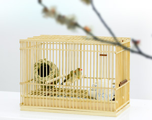 小鳥に優しい竹カゴ特集 | チャーム