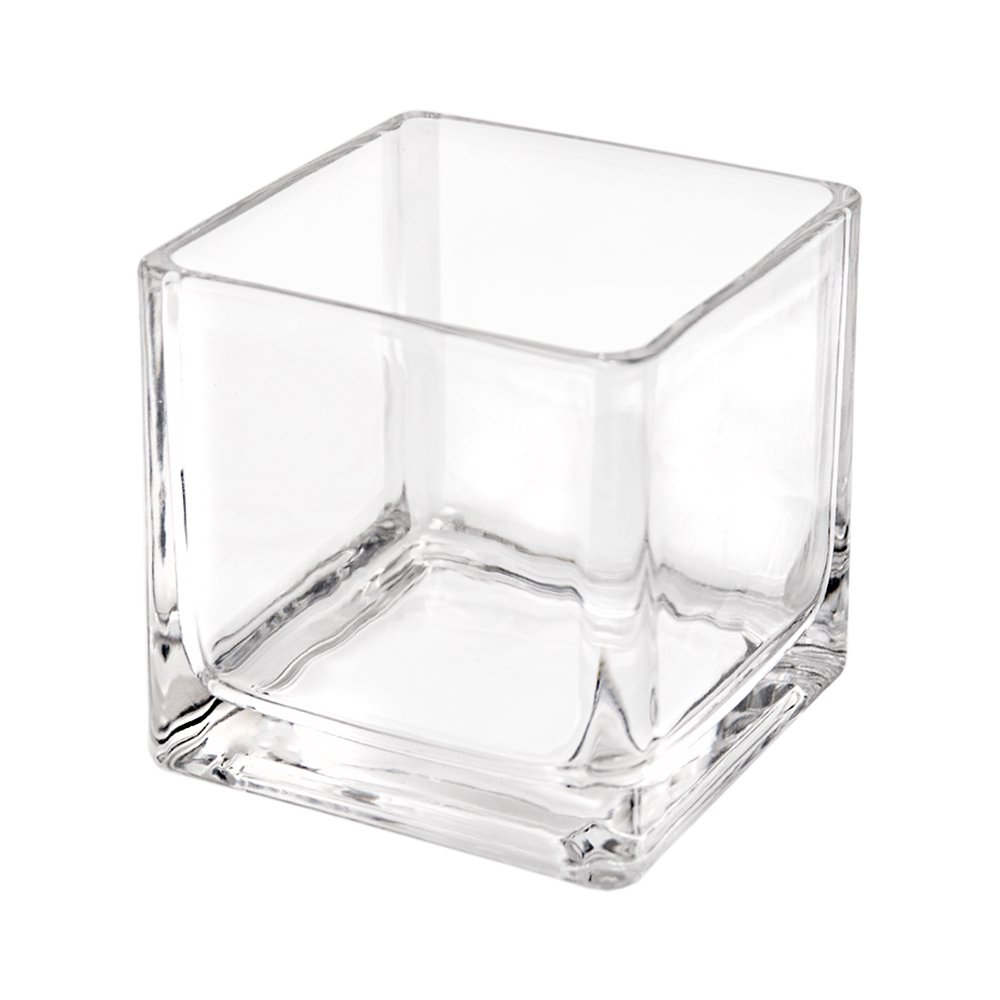 ブロックグラス Ｌ エアプランツ 多肉植物 ティランジア ガラス