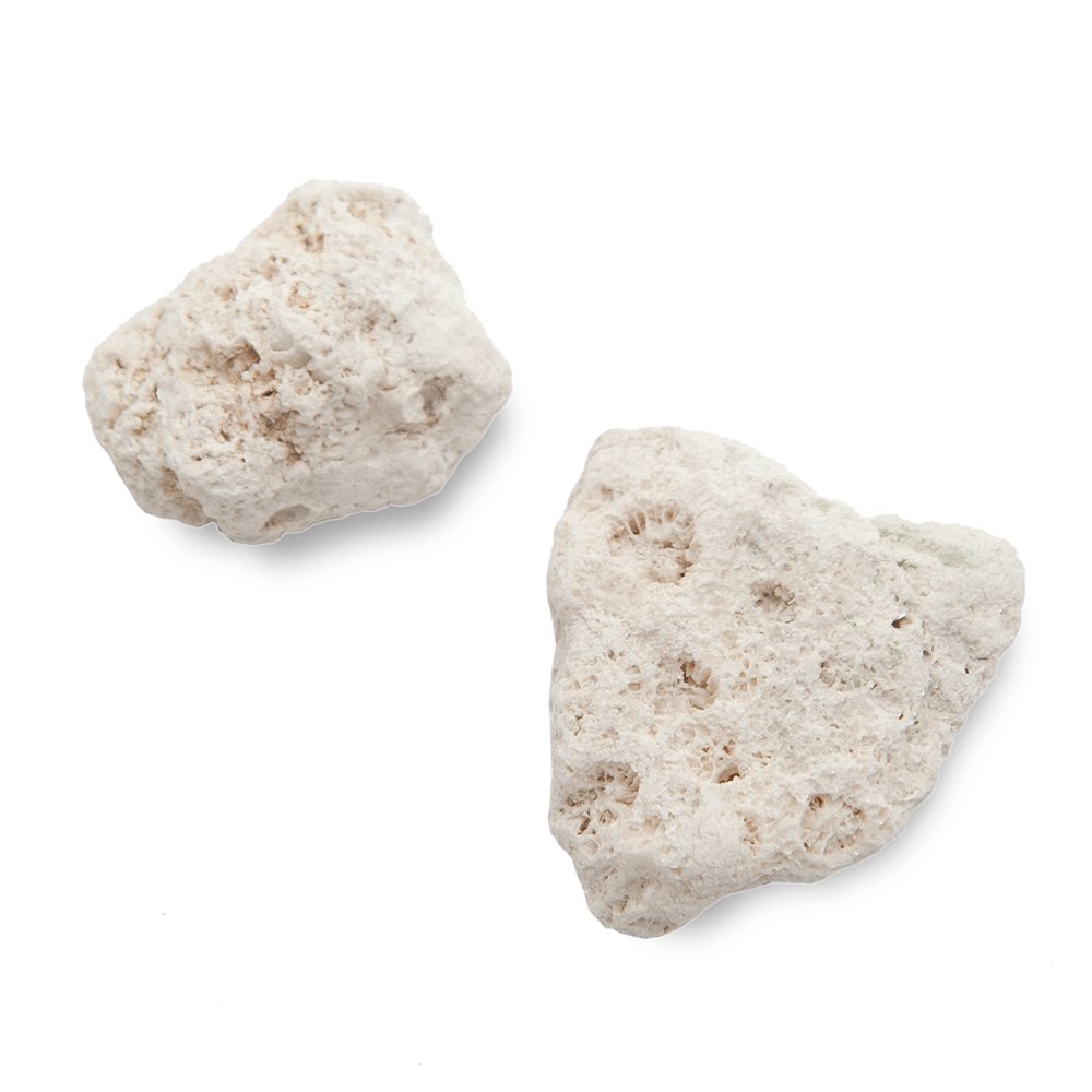 国産 ワラダンの栄養石（２個入り） 昆虫 ワラジムシ ダンゴムシ カルシウム ミネラル