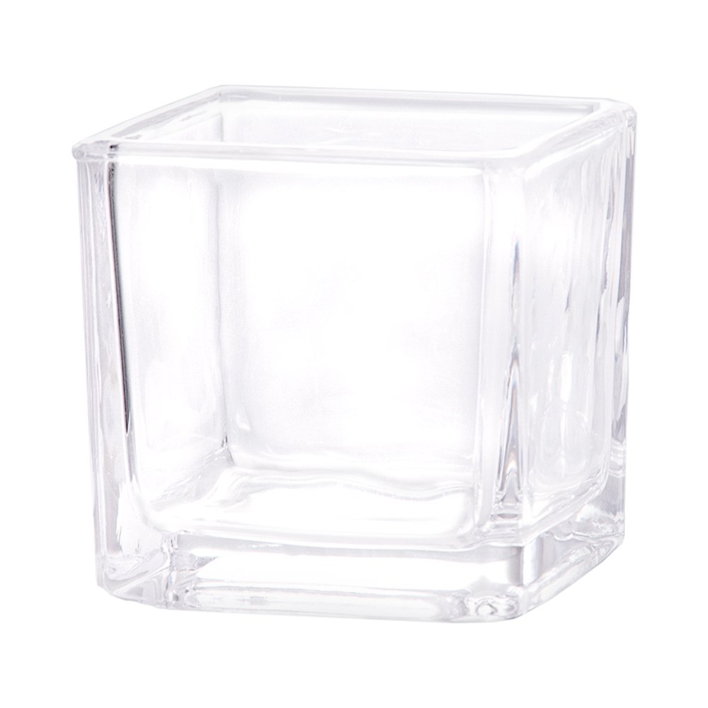 ブロックグラス Ｓ エアプランツ 多肉植物 ティランジア ガラス