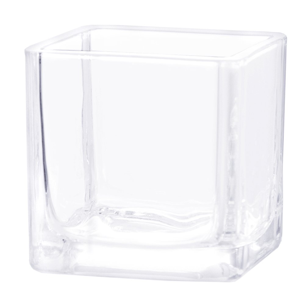 ブロックグラス Ｍ エアプランツ 多肉植物 ティランジア ガラス